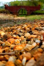 Gravles In A Dry Stream